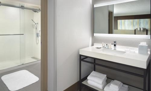 a bathroom with a white sink and a mirror at Atlanta Evergreen Lakeside Resort in Stone Mountain