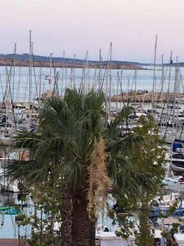 Φυσικό τοπίο κοντά σε αυτό το διαμέρισμα