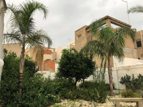 VILLA RISORGIMENTO in centro sul corso principale – Photos 3