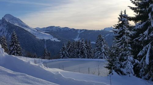 a view of a snow covered mountain with trees at Résidence Julianna , trajets remontées mécaniques , livraison viennoiseries, piscine couverte in Morzine