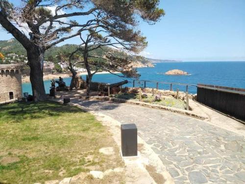 un parque con un árbol y vistas al agua en Hostal Sant Jordi, en Tossa de Mar