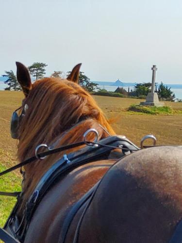 a close up of a horse with a monument in the background at Chez Jollyjune, à moins d'une heure du Mont Saint Michel in Champeaux