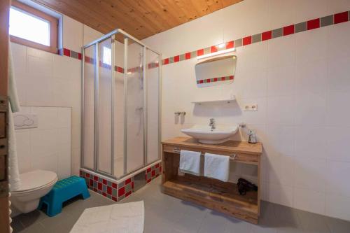 a bathroom with a shower and a sink and a toilet at Appartement Ewald Siller in Neustift im Stubaital