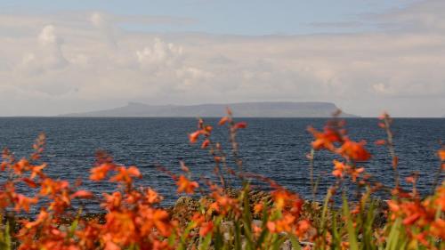 Gallery image of Springbank in Mallaig