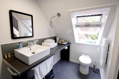 een badkamer met een wastafel, een toilet en een spiegel bij A la Maison du Héron in Villeneuve d'Ascq