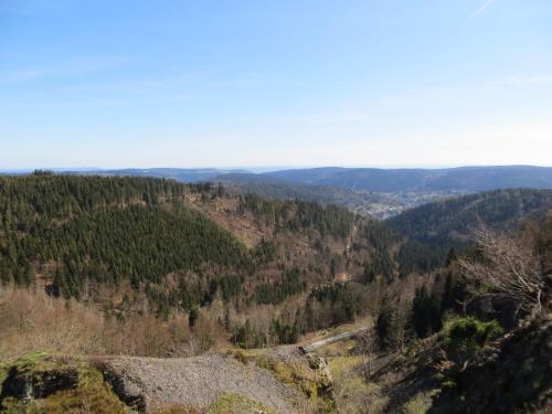 a view from the top of a mountain with trees at Ferienwohnungen Breternitz in Steinach