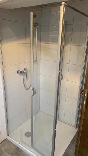 una ducha con puerta de cristal en un baño en Albi Apartment, en Küssaberg