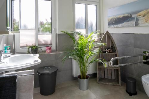 a bathroom with a sink and a toilet and a plant at HausAltenkamp in Bad Zwischenahn