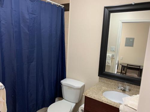 a bathroom with a toilet and a blue shower curtain at Langham Motel in Langham