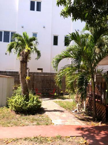 two palm trees in front of a building at Private and Secluded Studio in Little Havana - 6V in Miami