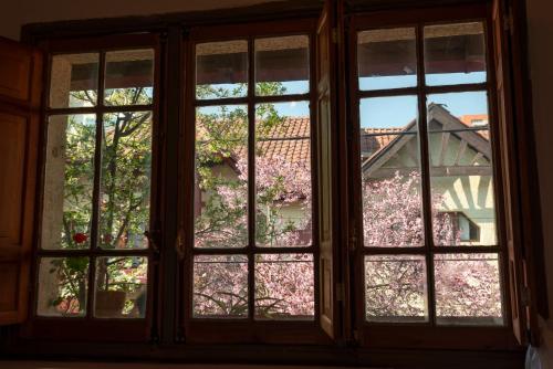 Κήπος έξω από το Providencia Bed & Breakfast