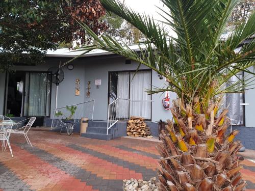 a palm tree in front of a house at The Haven: Make our Home your Home in Estcourt