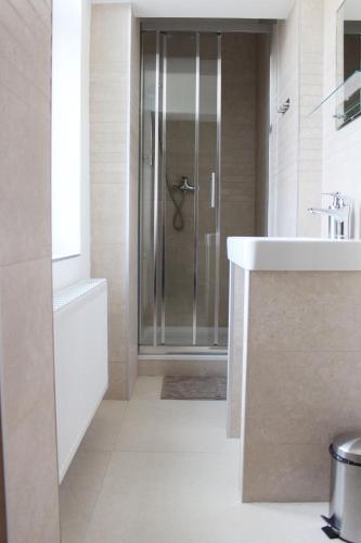 a bathroom with a shower and a sink at Apartmány v podhradí in Bečov nad Teplou