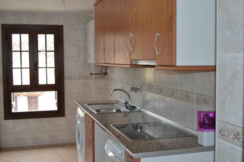 a kitchen with a sink and a counter top at Apartamentos Portal de Ordesa in Fiscal