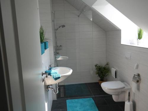 ラドルフツェル・アム・ボーデンゼーにあるFerienwohnungen Dianaのバスルーム(洗面台、トイレ付)