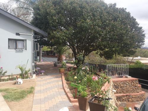 a dog sitting in front of a house with a tree at The Haven: Make our Home your Home in Estcourt