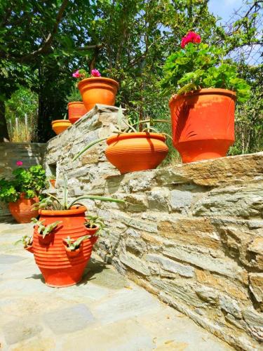 a stone wall with pots of flowers on it at Villa Maroudia in Kymi