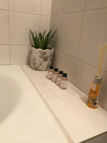 a bathroom counter with five bottles and a plant at Villa Maroudia in Kymi