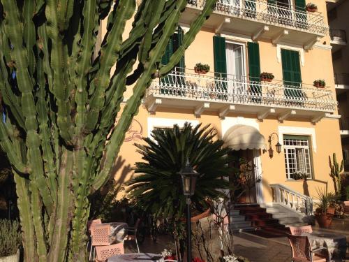 a cactus in front of a building with a cactus at Hotel Villa Igea in Alassio