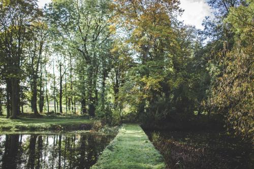 a path through a forest next to a pond at Rowton Castle in Shrewsbury