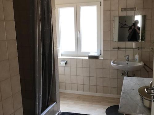 een badkamer met een douche, een wastafel en een raam bij Auf der Bühlerhöhe in Uhldingen-Mühlhofen