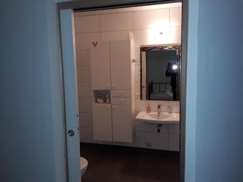 een badkamer met een wastafel, een spiegel en een toilet bij Stadswoning Roermond in Roermond