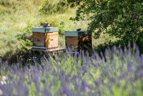 two beehives sitting in a field of grass at Domaine Calmel & Joseph in Montirat