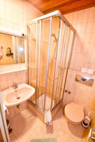 a bathroom with a shower and a toilet and a sink at Haus Eyers in Bad Driburg
