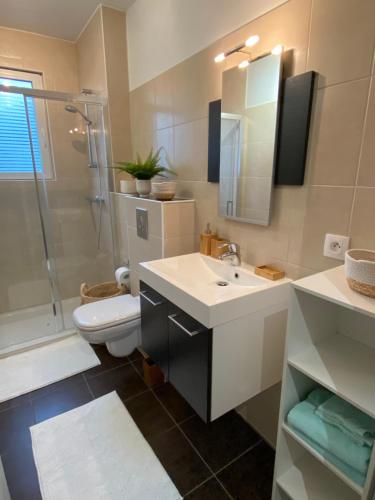 a bathroom with a sink and a toilet and a shower at Studio Moderne Tout équipé Wifi - Parking gratuit - Proche de la Nature in Wissembourg