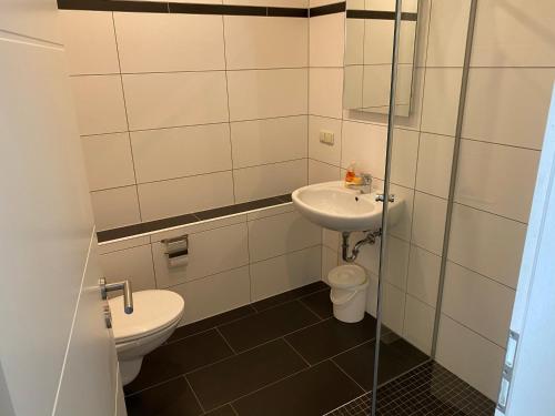 a bathroom with a toilet and a sink at Ferienhaus an der Westernstadt in Eging in Eging