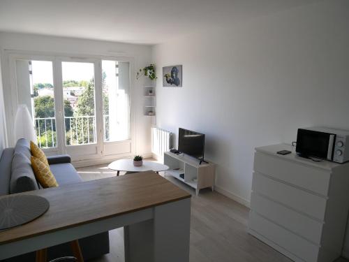 un salon avec un canapé et une télévision dans l'établissement Botanic Garden Studio cosy, Parking, Métro, à Toulouse