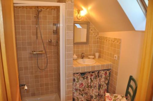 La salle de bains est pourvue d'un lavabo et d'une douche. dans l'établissement Maison Vérosia, à Saint-Loup-de Naud