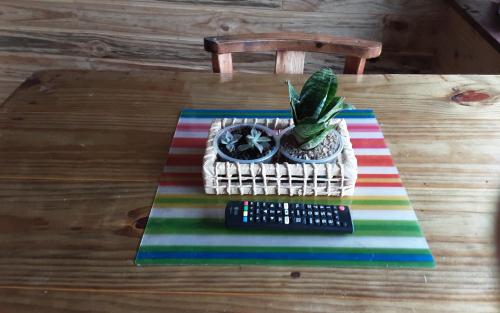 موناليزا في فلوريانوبوليس: طاولة مع جهاز تحكم عن بعد ونبات الفخار