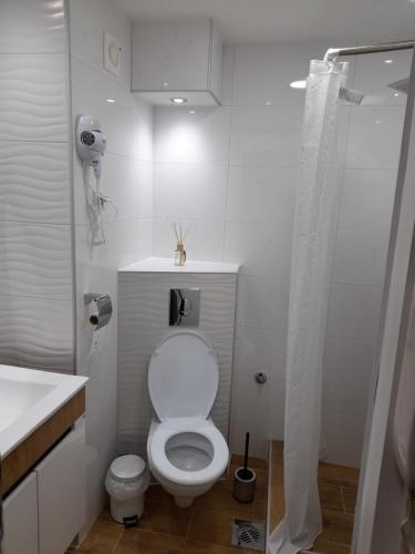 a white bathroom with a toilet and a shower at Iva Lux apartman in Zaječar