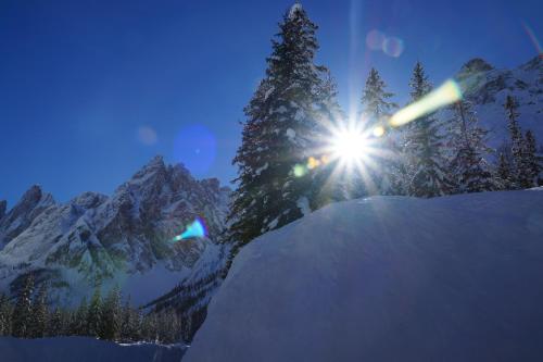 Gallery image of Hotel Mooserhof in Sesto