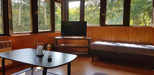a living room with a couch and a table at Le chalet du lac de chaumeçon au coeur du morvan in Saint-Martin-du-Puy