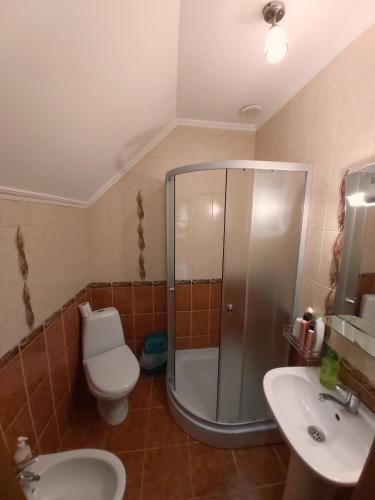 a bathroom with a shower and a toilet and a sink at Шале "Тиша" in Migovo