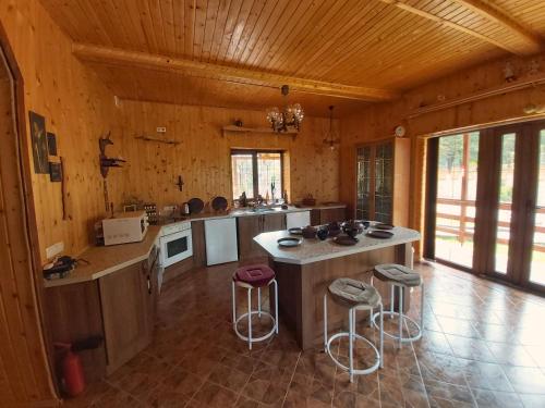 A kitchen or kitchenette at Шале "Тиша"