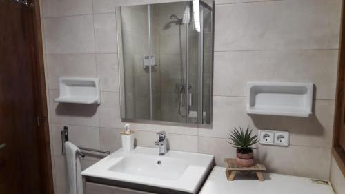 uma casa de banho com um lavatório, um chuveiro e um espelho. em Cal Pairet 1 em Campelles