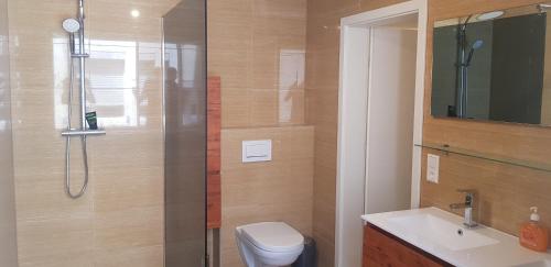 a bathroom with a shower and a toilet and a sink at Schnelle Vermietungen in Achern
