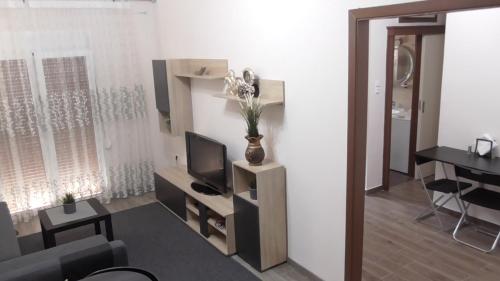 a living room with a tv and a vase with flowers at Ellada Apartment in Athens