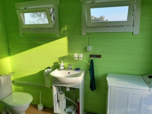 a green bathroom with a sink and a toilet at Kadakasuitsu Loodustalu in Saareküla