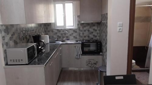 a small kitchen with a microwave and a sink at Ellada Apartment in Athens