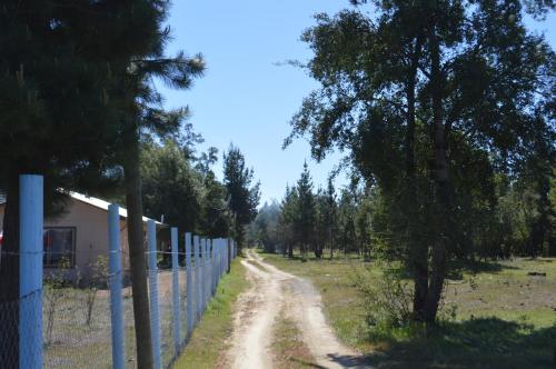 a dirt road next to a fence with a tree at Coyunche Cabañas y Camping Laja & San Rosendo in Laja