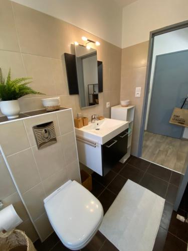 ein Badezimmer mit einem WC, einem Waschbecken und einem Spiegel in der Unterkunft Studio Moderne Tout équipé Wifi - Parking gratuit - Proche de la Nature in Wissembourg