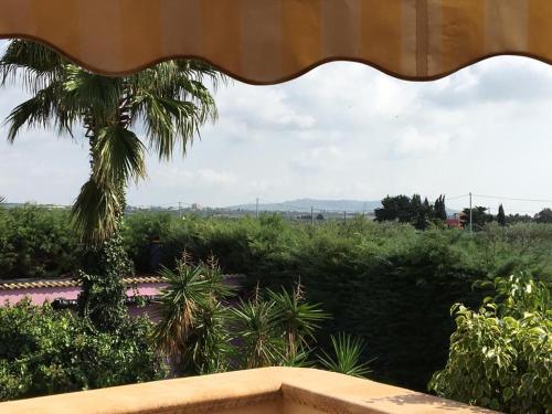 Zahrada ubytování Casa Vacanze Surriano