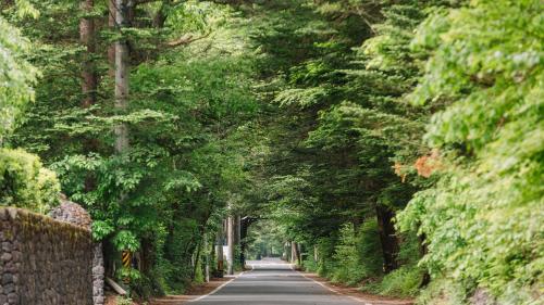 a road lined with trees on either side at Kyu-Karuizawa Hotel Shinonome in Karuizawa