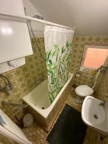 a bathroom with a shower curtain and a toilet at Einfaches Haus mit Privatzimmern und Gemeinschaftsräumen in Heilbronn