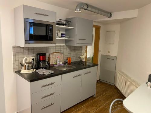 cocina con fregadero y microondas en Saale Unstrut Ferienwohnung I, en Naumburg