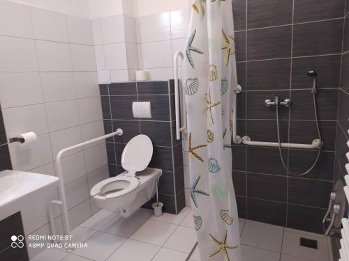 a bathroom with a toilet and a shower curtain at Penzion ValMez in Valašské Meziříčí